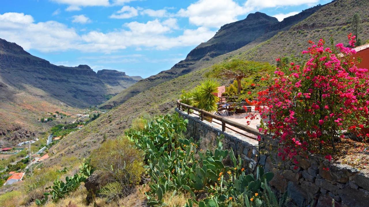 Finca Las Olivas - Unique Country House With Heated Pool 马斯帕洛马斯 外观 照片