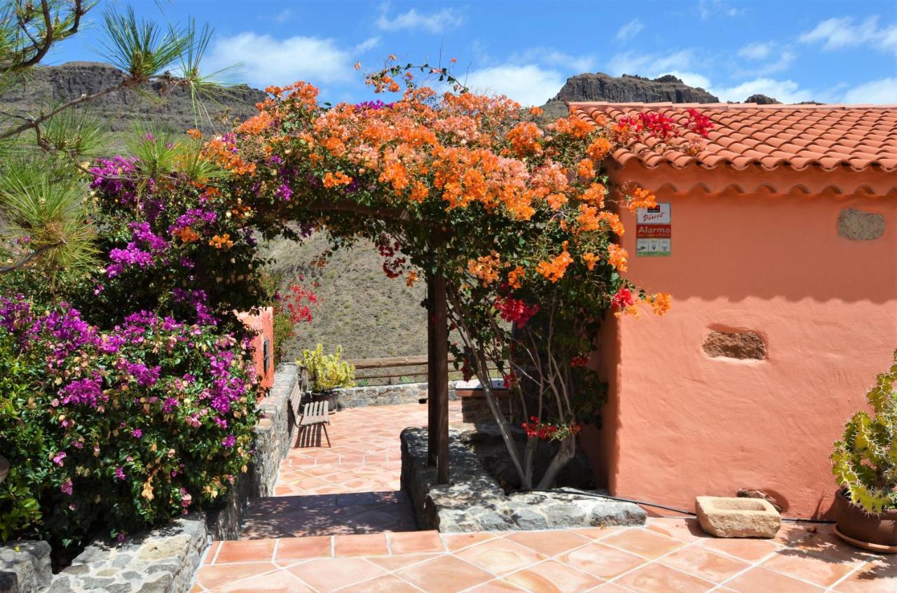 Finca Las Olivas - Unique Country House With Heated Pool 马斯帕洛马斯 外观 照片