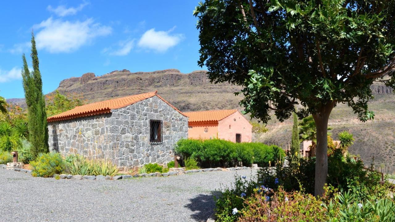 Finca Las Olivas - Unique Country House With Heated Pool 马斯帕洛马斯 外观 照片
