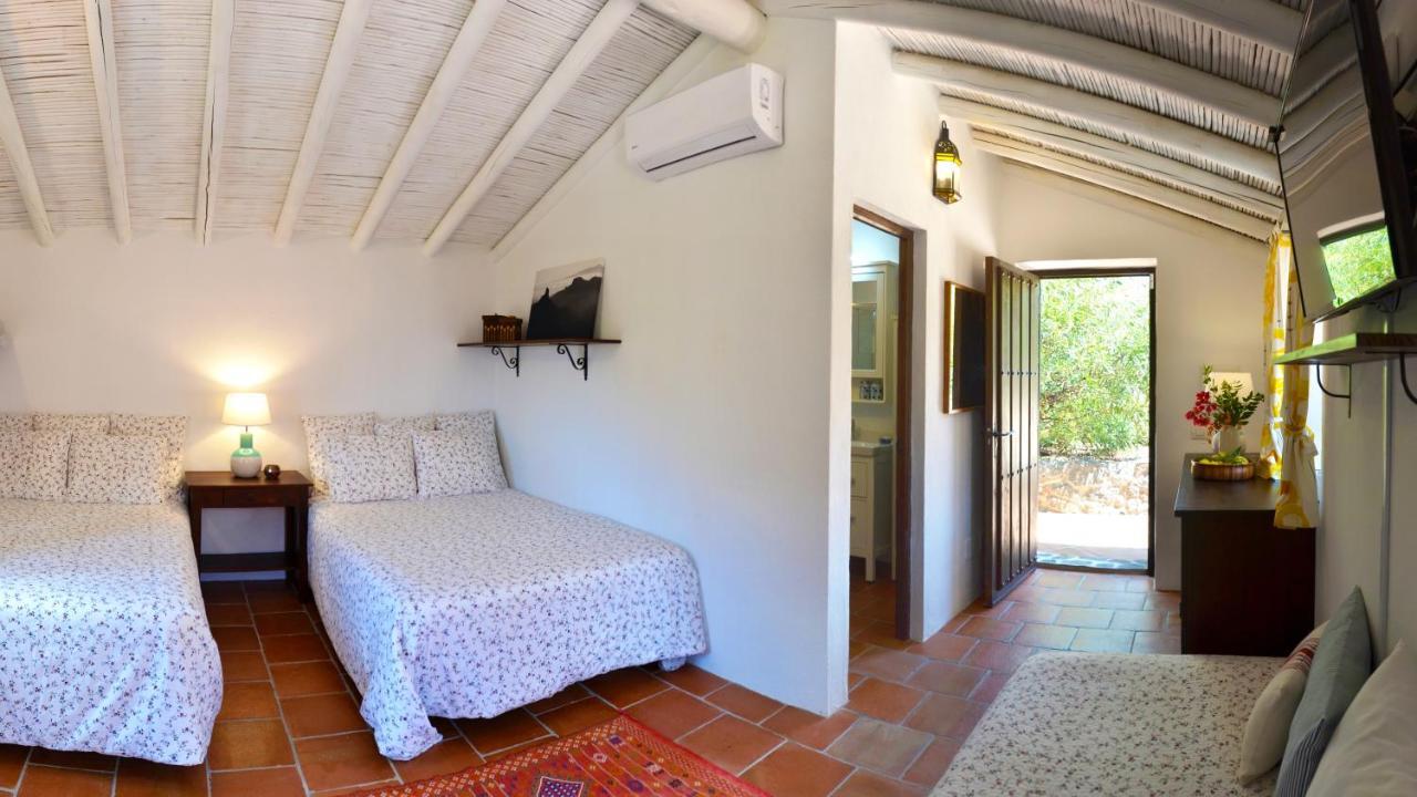 Finca Las Olivas - Unique Country House With Heated Pool 马斯帕洛马斯 外观 照片