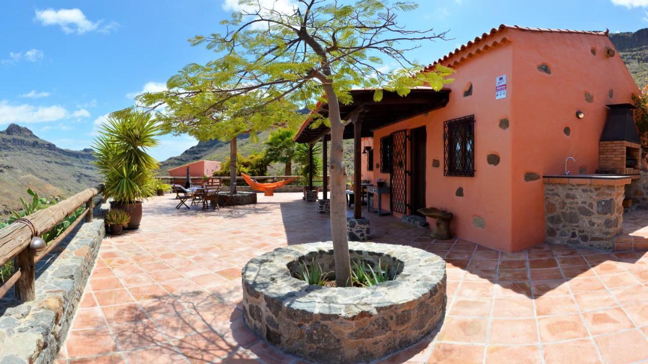 Finca Las Olivas - Unique Country House With Heated Pool 马斯帕洛马斯 外观 照片
