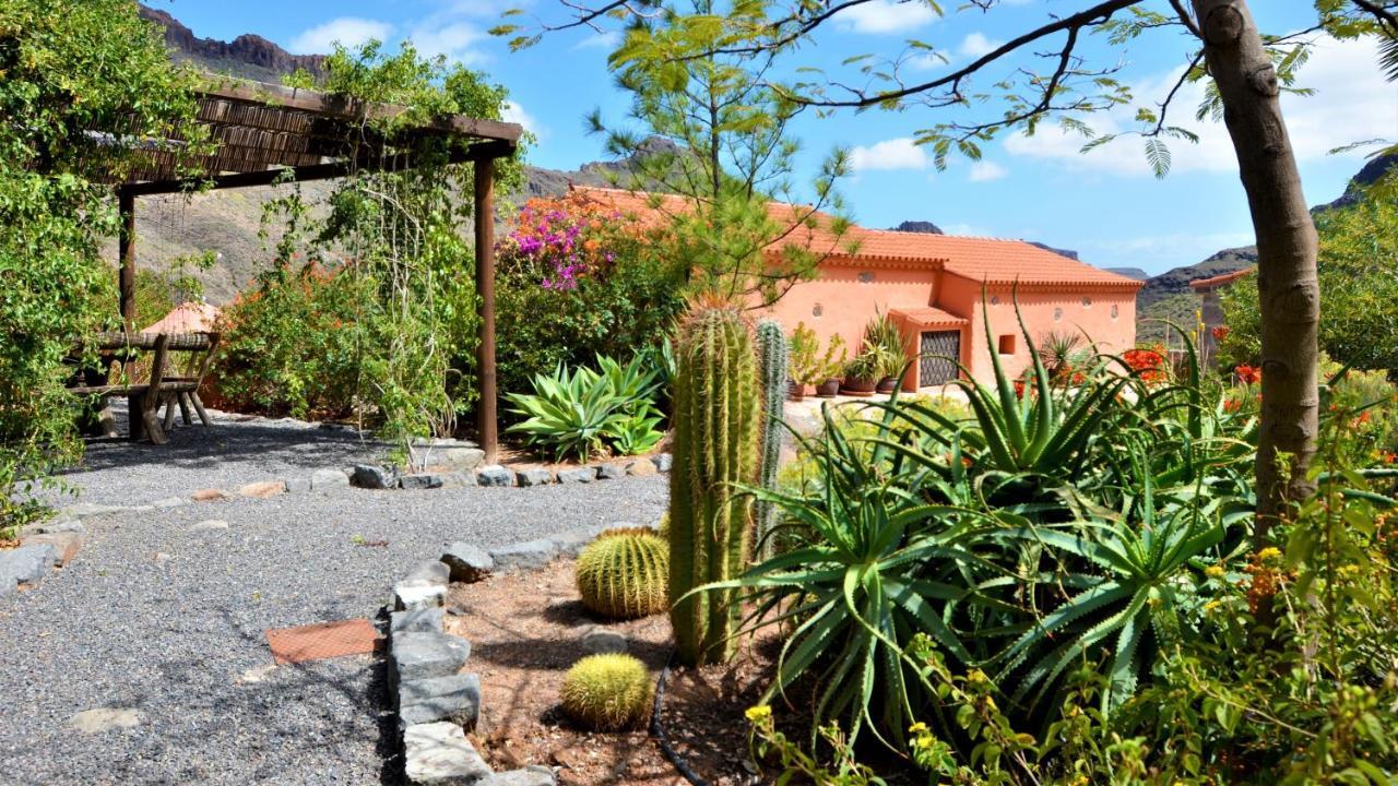 Finca Las Olivas - Unique Country House With Heated Pool 马斯帕洛马斯 外观 照片
