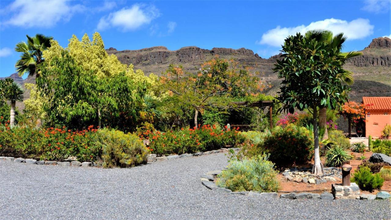 Finca Las Olivas - Unique Country House With Heated Pool 马斯帕洛马斯 外观 照片