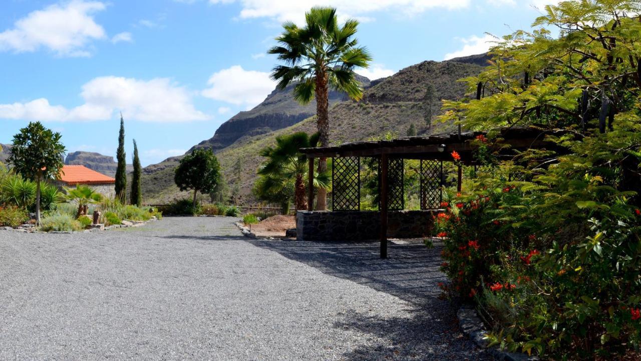 Finca Las Olivas - Unique Country House With Heated Pool 马斯帕洛马斯 外观 照片