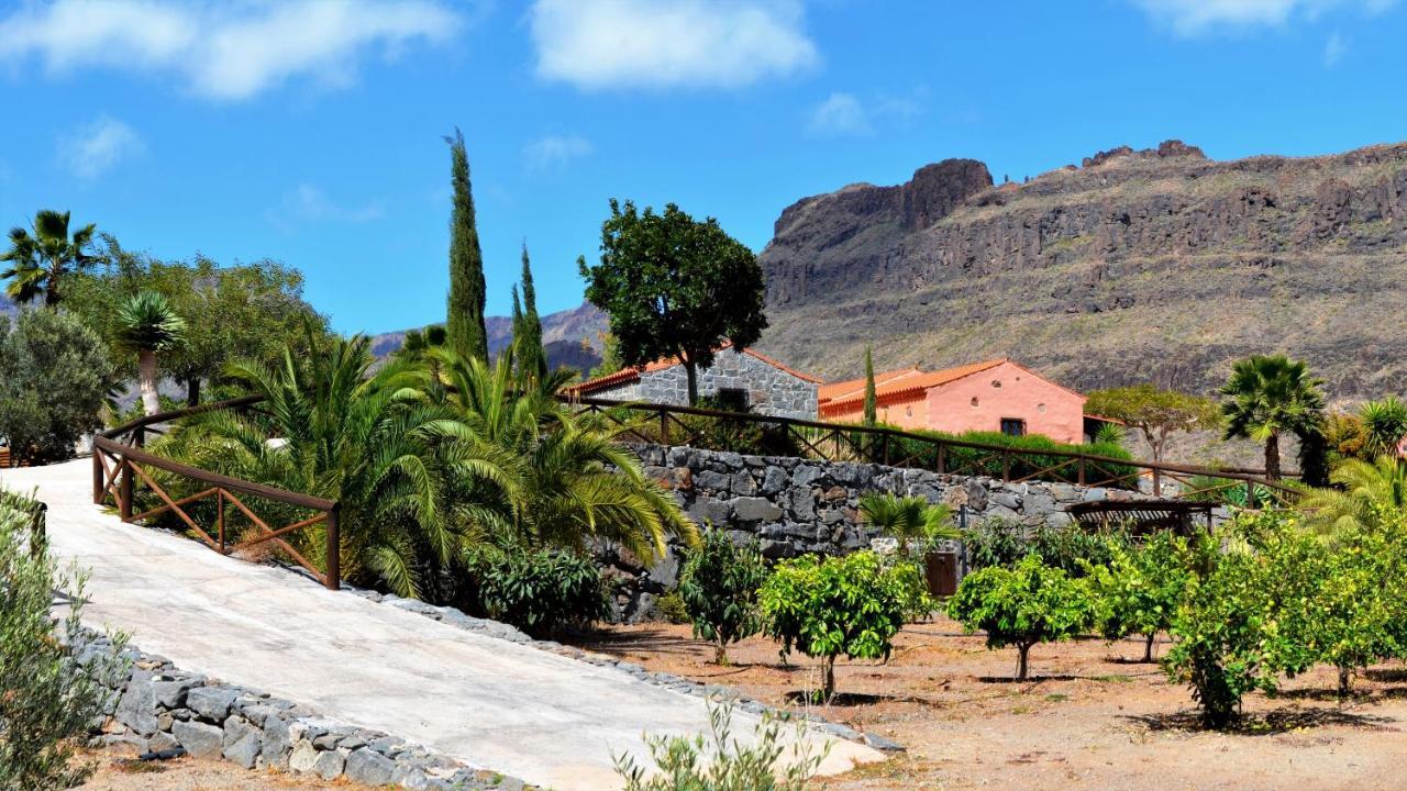 Finca Las Olivas - Unique Country House With Heated Pool 马斯帕洛马斯 外观 照片