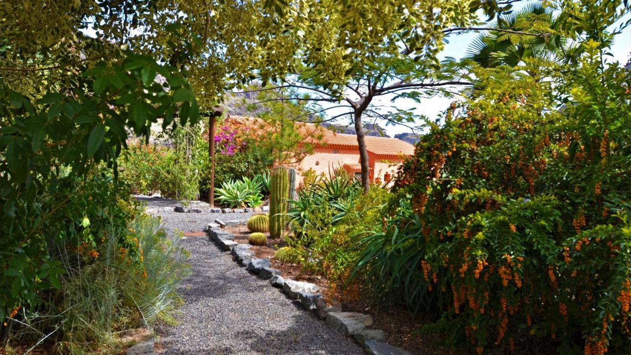 Finca Las Olivas - Unique Country House With Heated Pool 马斯帕洛马斯 外观 照片